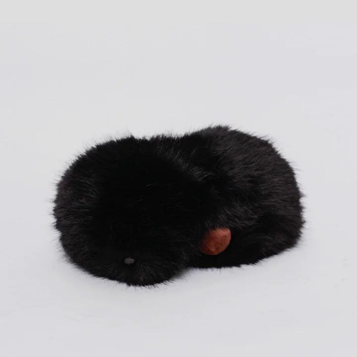 Робот Cupboo AI robotic pet Color: Black